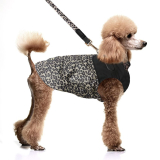 Hunde-Regenjacke 'HAWA' leopard